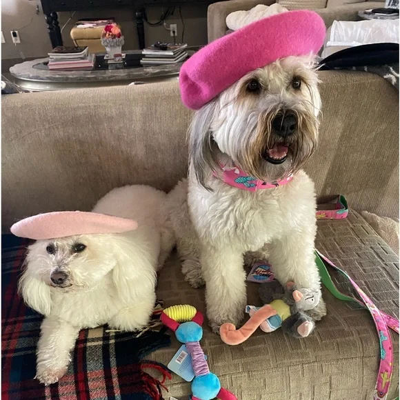 Offers & Bundles - Picture 5 of 9